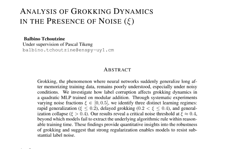 Analyse des Dynamiques de Grokking en Présence de Bruit (ξ)